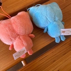 カエル　ピクルスの画像