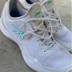 アシックス　バスケットシューズの画像