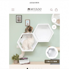 MYZOO キャットステップ　未使用の画像