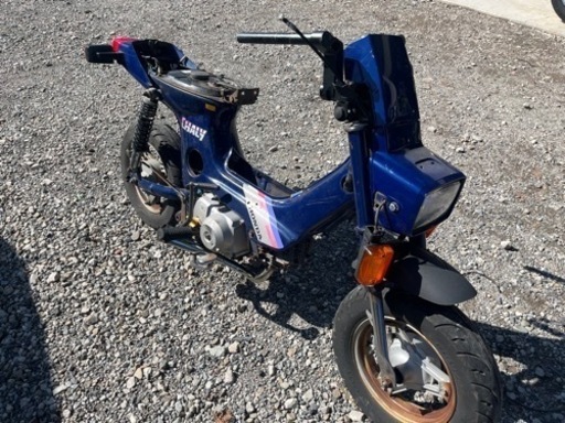 角目シャリー　レストアベース