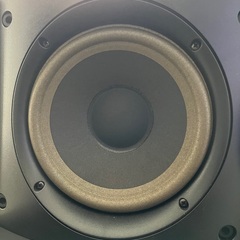 BOSE 301V 左右セットの画像