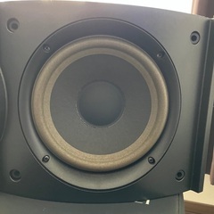 BOSE 301V 左右セットの画像