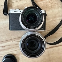 LUMIX ミラーレス一眼カメラの画像