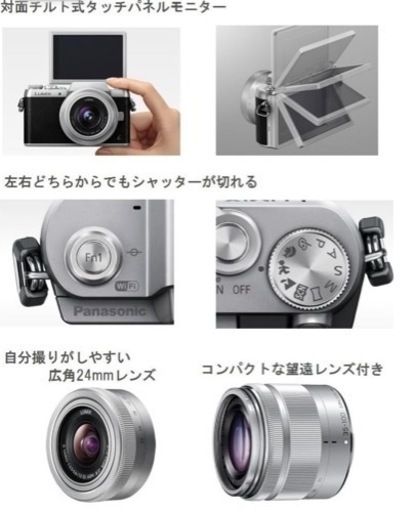 LUMIX ミラーレス一眼カメラ