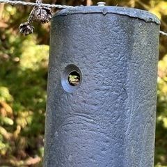 薪束の宅配　薪八　1束　（石川県　金沢市、野々市市、白山市、加賀市　限定）の画像