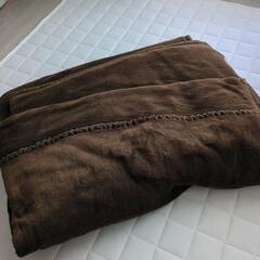 毛布　シングル　茶色　1枚