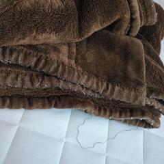 毛布　シングル　茶色　1枚の画像