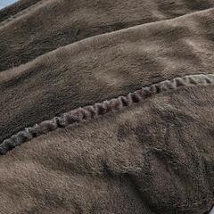 毛布　シングル　茶色　1枚の画像