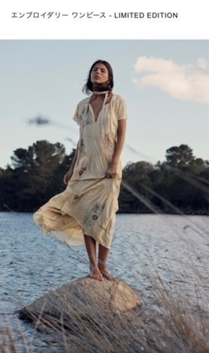 ZARA 刺繍ワンピース リミテッドエディション 
