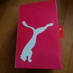 PUMA屋内シューズの画像