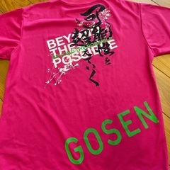 テニス　サイズL  Tシャツ　使用回数少
