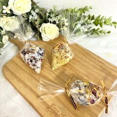 【10月7日（土）稲毛海岸カルチャーセンター】季節の植物セラピー講座