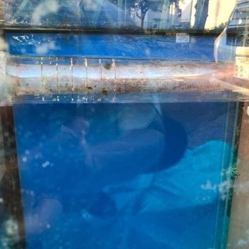 「お値下げ」海水魚水槽一式【詳細必ずご確認下さい】