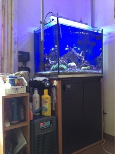 「お値下げ」海水魚水槽一式【詳細必ずご確認下さい】