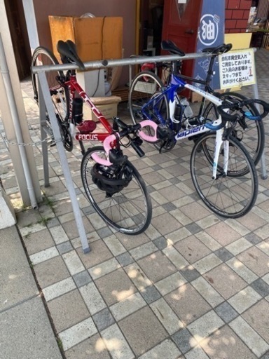 フォーカス　カンパニョーロ　ゾンダ
