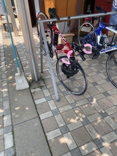 フォーカス　カンパニョーロ　ゾンダ