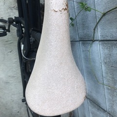ビーチクルーザー　the park の画像