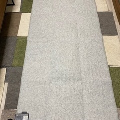 【美品】ホットカーペット 一畳の画像