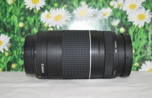 新品級★ラスト一点★望遠レンズ☆美品☆キャノン　Canon EF 75-300mm