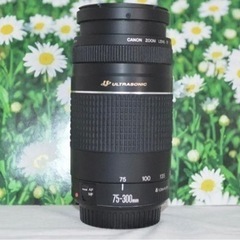 新品級★ラスト一点★望遠レンズ☆美品☆キャノン　Canon EF...