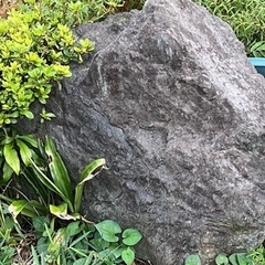 庭の石・岩差し上げます
