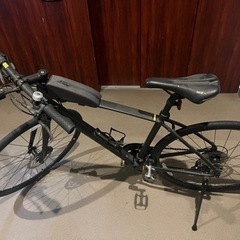 【美品】Escape RX Disc 2021