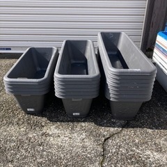 メダカ飼育容器中古！の画像