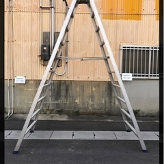脚立🪜(3メートル以上)を貸して頂けませんでしょうか？