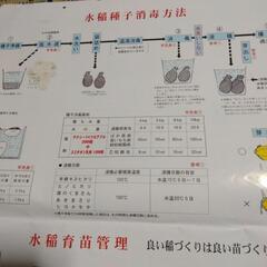 無肥料の米作りを助け合いします - 玉名郡