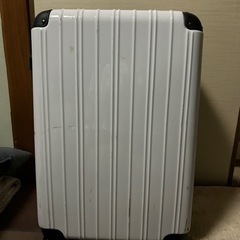 大型キャリーケース