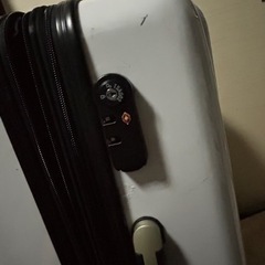 大型キャリーケースの画像