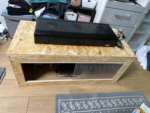 爬虫類　飼育セット　フトアゴ