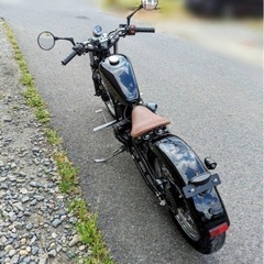 希少❗️クリーブランド　ヘイスト250 リジットフレームの画像