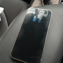 iPhone 13 Pro Max シルバー 256 GB SI...