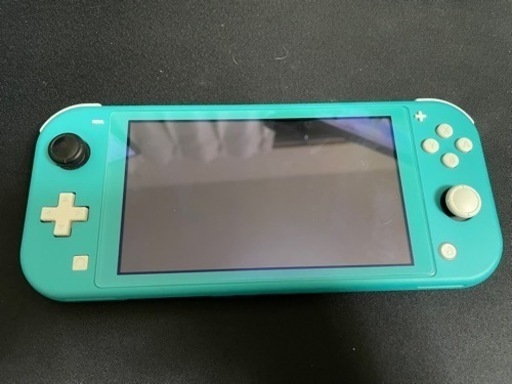 Nintendo Switch Lite (コントローラー、充電器、ケース込)