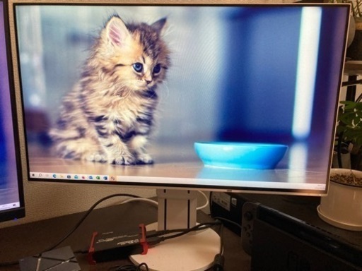 23.8型 液晶モニター(ディスプレイ) FlexScan EV2451