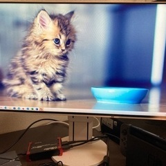 23.8型 液晶モニター(ディスプレイ) FlexScan EV2451