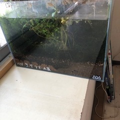 アマゾニアソイルの中古が安い！激安で譲ります・無料であげます