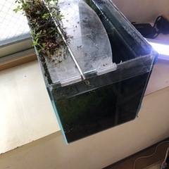 ADA水槽　ゼンスイ照明の画像