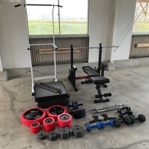 美品 トレーニング器具一式 ダンベル ベンチプレス セーフティガード 懸垂器具 マット付き