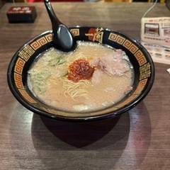一緒に遊んだりしてくれる方を探しています！ - 高崎市