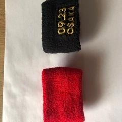B'z  Pleasure 2023 STARS リストバンド 赤　黒　セット　9/23 ガチャの画像