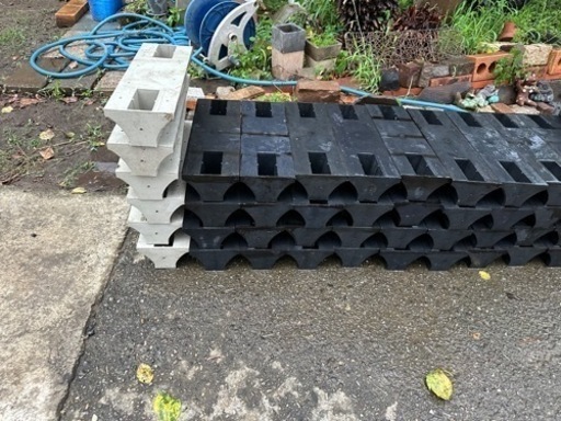 シェルフリンクス