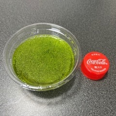 ミジンコウキクサ　メダカのエサ