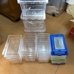 昆虫ケース（小）１８個　中古