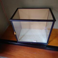 間もなく処分予定、五月人形の空ガラスケース