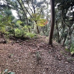 【購入希望の方ご連絡ください】伊予ヶ岳の近い1600坪　秘密基地や道作り、自然観察拠点に - 南房総市