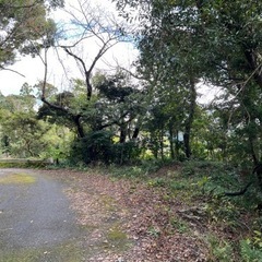 【購入希望の方ご連絡ください】伊予ヶ岳の近い1600坪　秘密基地や道作り、自然観察拠点に - 短期賃貸