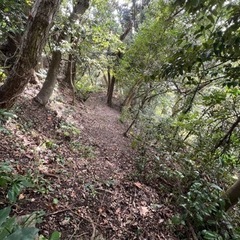 【購入希望の方ご連絡ください】伊予ヶ岳の近い1600坪　秘密基地や道作り、自然観察拠点に − 千葉県