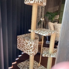 猫ちゃんタワー　の画像